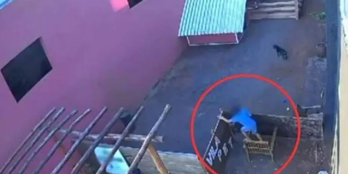 Criança que matou animais em fazendinha disse que não foi a primeira vez