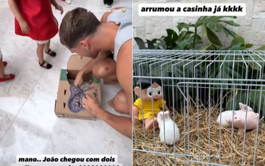 João Guilherme surpreende sobrinhas com presente inusitado
