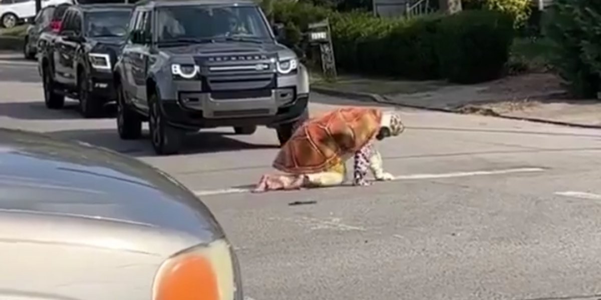 Homem abandona emprego após se identificar como tartaruga