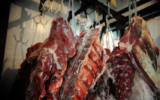 9,5 toneladas de carne foram apreendidas no sudoeste da Bahia