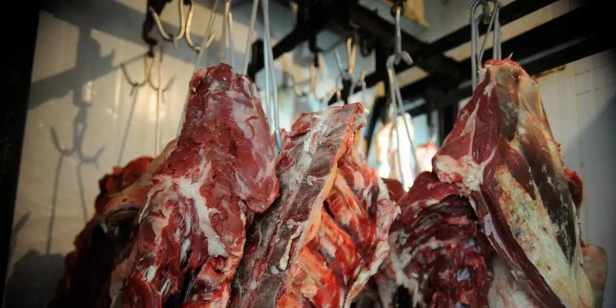 9,5 toneladas de carne foram apreendidas no sudoeste da Bahia