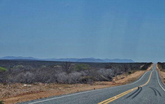 Adolescente de 12 anos é atropelada e morre após descer de ônibus escolar