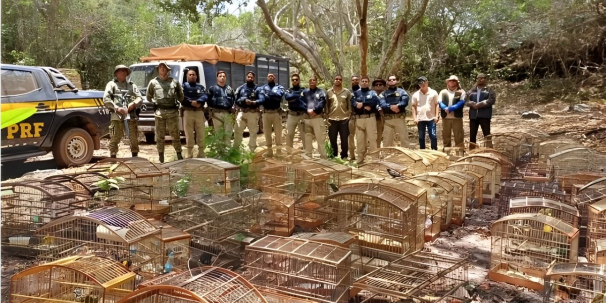 Mais de 960 animais são resgatados em operação no Recôncavo baiano