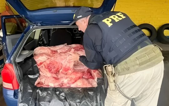Homem é preso com aproximadamente 300kg de carne de capivara