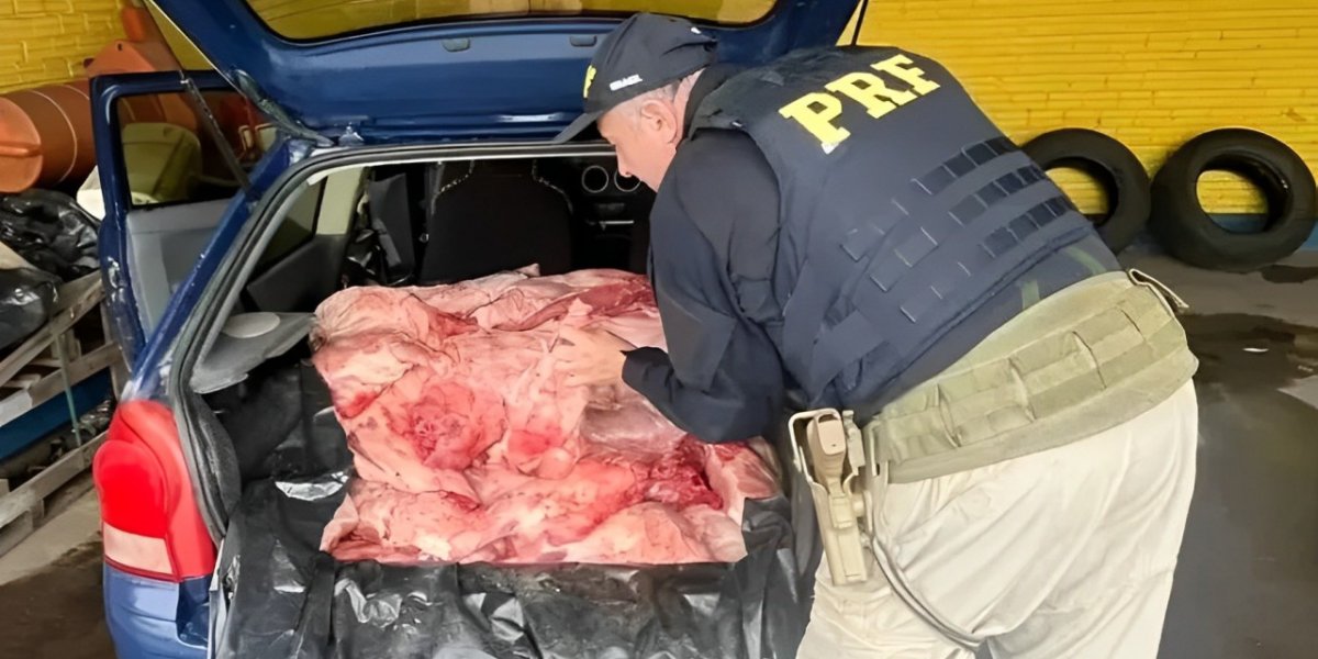 Homem é preso com aproximadamente 300kg de carne de capivara