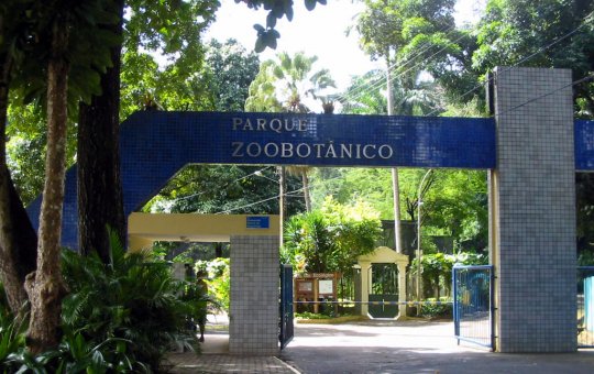 Zoológico passa por obras e tem seu acesso alterado