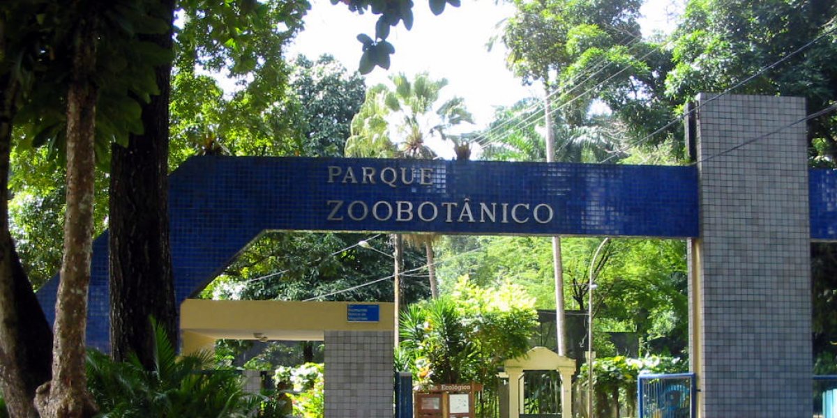 Zoológico passa por obras e tem seu acesso alterado