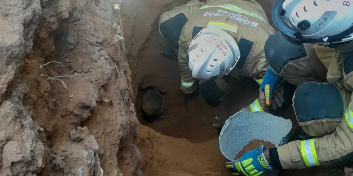 Homem fica soterrado após cair em buraco durante trabalho