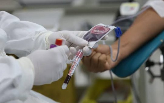 25 de novembro: Dia Nacional do Doador de sangue