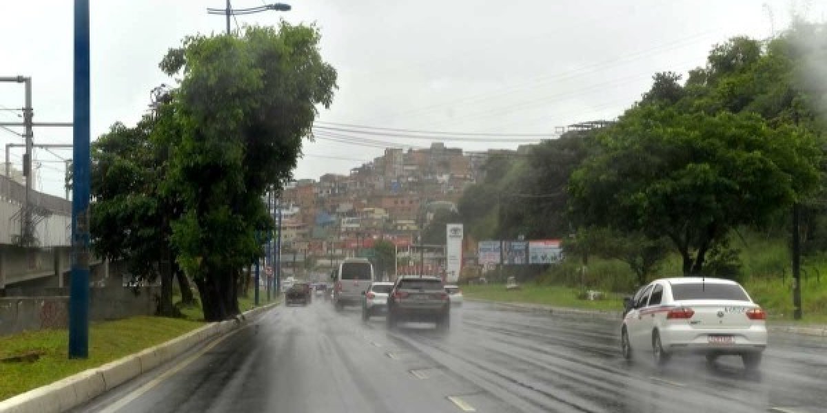 Chuvas: Codesal alerta para riscos de deslizamentos de terra e alagamentos; confira