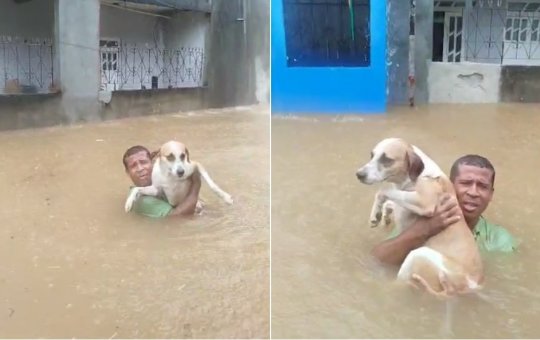 Homem se arrisca para tentar salvar cachorro durante chuvas em Salvador