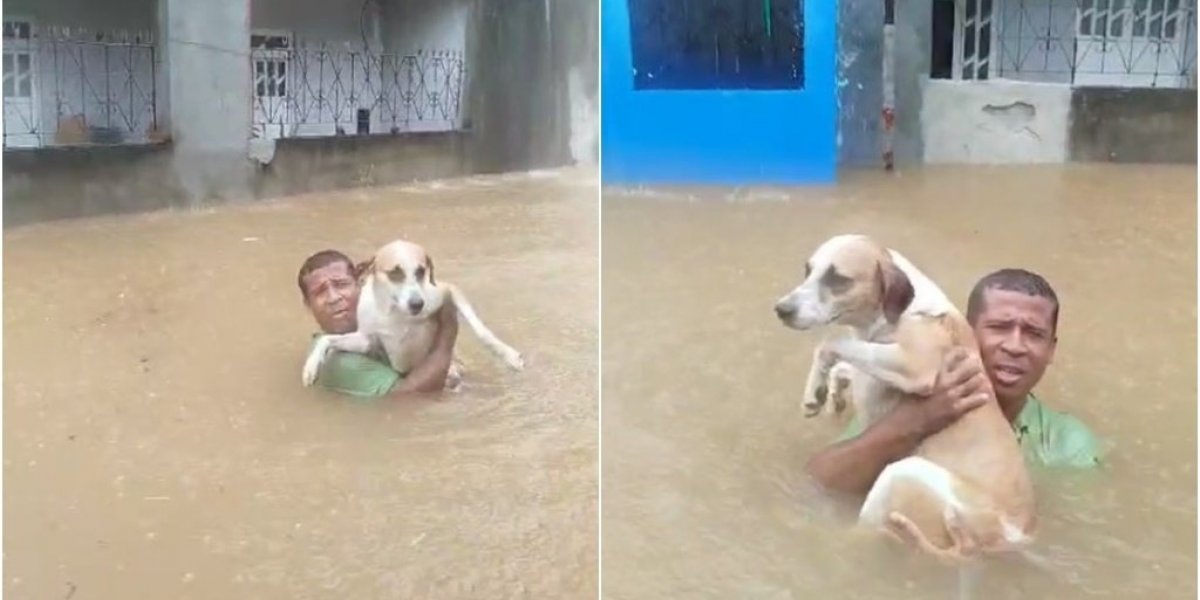 Homem se arrisca para tentar salvar cachorro durante chuvas em Salvador