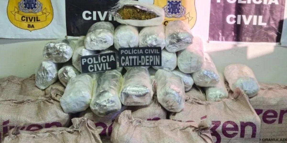 Polícia Civil localiza e apreende cerca de 100kg de drogas na Chapada Diamantina