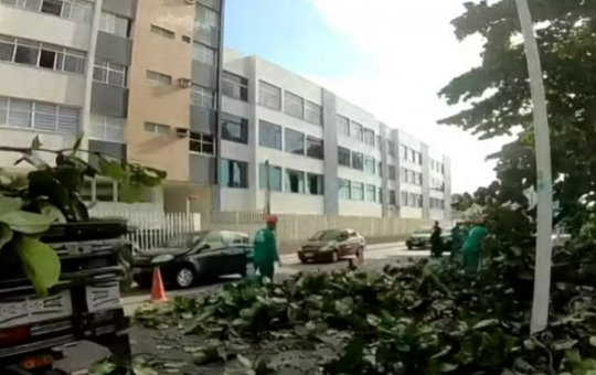Duas faixas da Av. Oceânica ficam bloqueadas após queda de árvore nesta segunda-feira (16)
