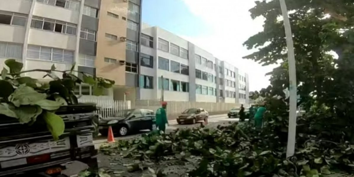 Duas faixas da Av. Oceânica ficam bloqueadas após queda de árvore nesta segunda-feira (16)