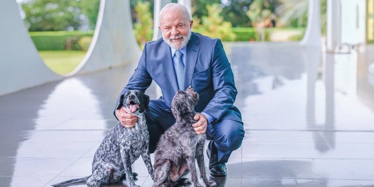Lula sanciona lei que cria Cadastro Nacional de Animais Domésticos