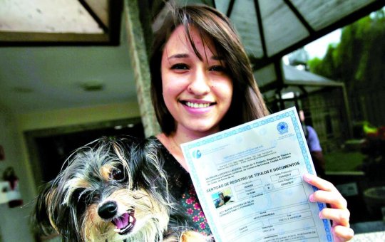 Animais de estimação terão carteira de identidade nacional a partir de 2025