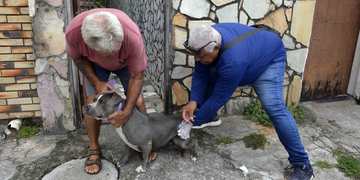 Prefeitura promove vacinação antirrábica em locais de grande circulação em Salvador