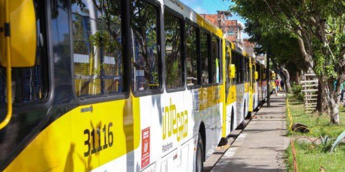Três bairros de Salvador têm circulação de ônibus suspensa