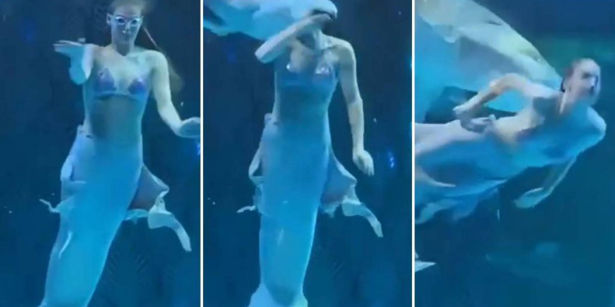 Peixe ataca ‘sereia’ que se apresentava dentro de aquário na China