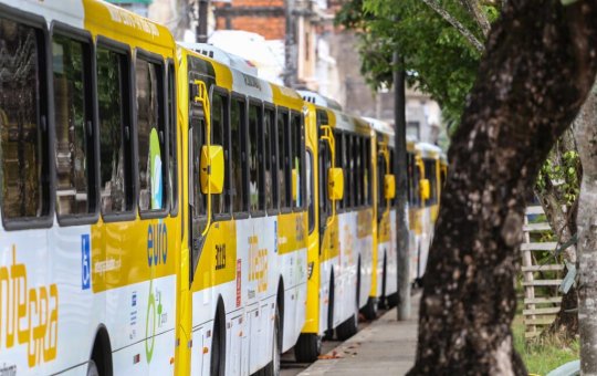 Três linhas de ônibus são reativadas nesta segunda-feira (3)