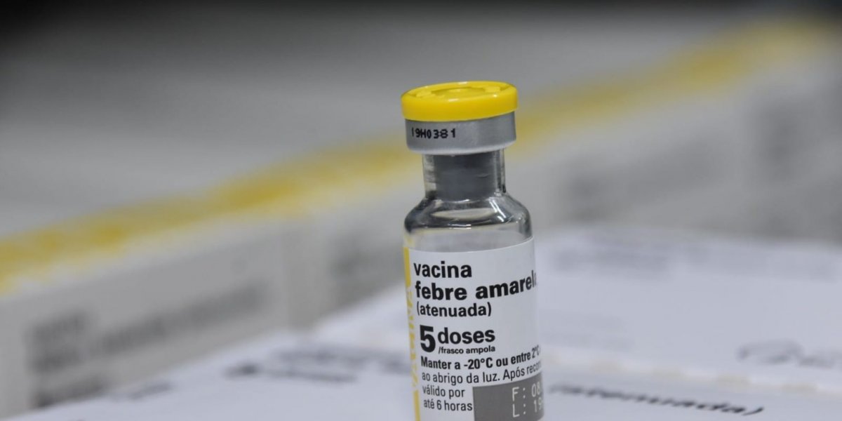 Ministério da Saúde alerta para aumento de casos de febre amarela