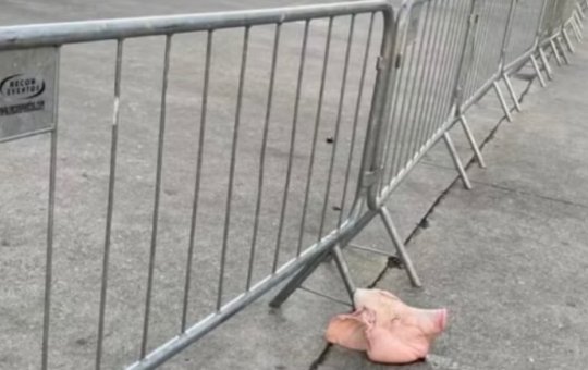 Cabeça de porco é encontrada na frente de estádio do Palmeiras nesta quinta-feira (6)