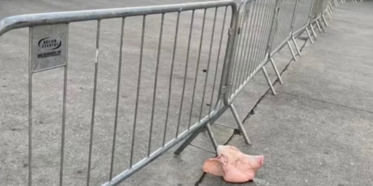 Cabeça de porco é encontrada na frente de estádio do Palmeiras nesta quinta-feira (6)