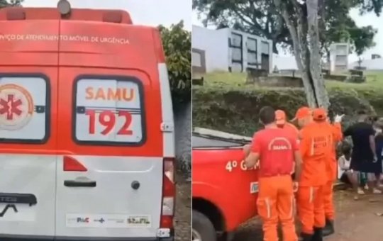 Enterro é interrompido após ataque de abelhas em cemitério no interior da Bahia