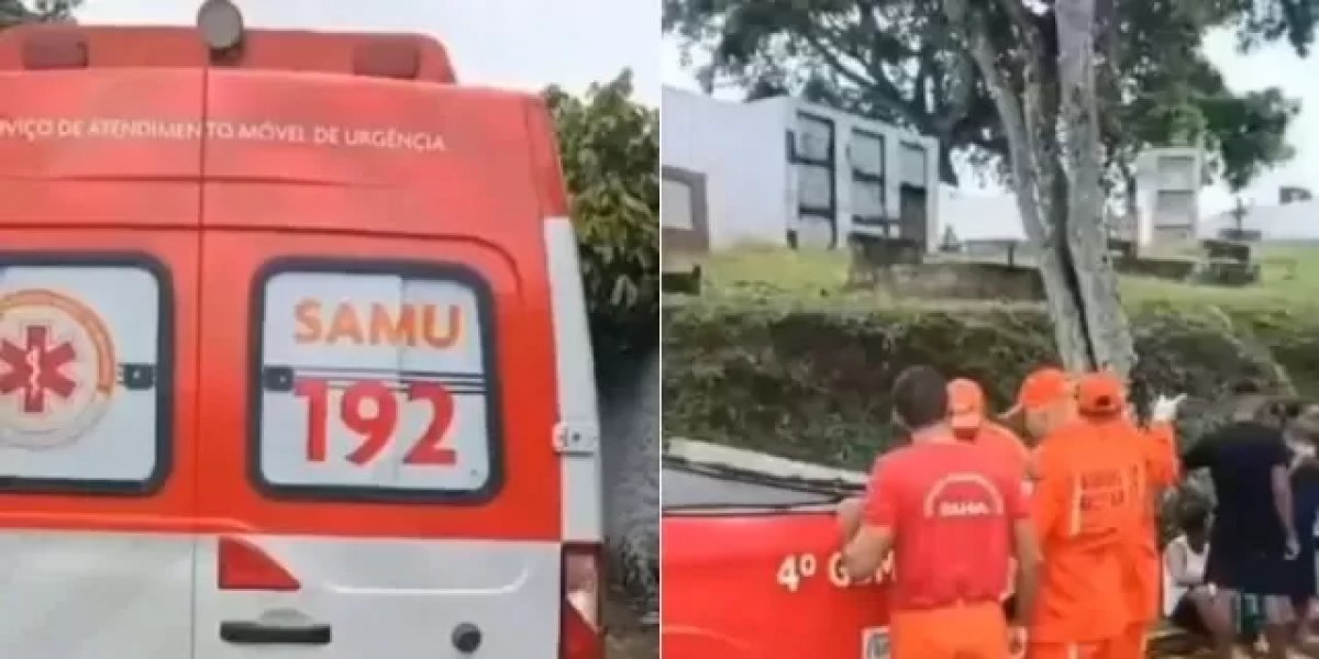 Enterro é interrompido após ataque de abelhas em cemitério no interior da Bahia