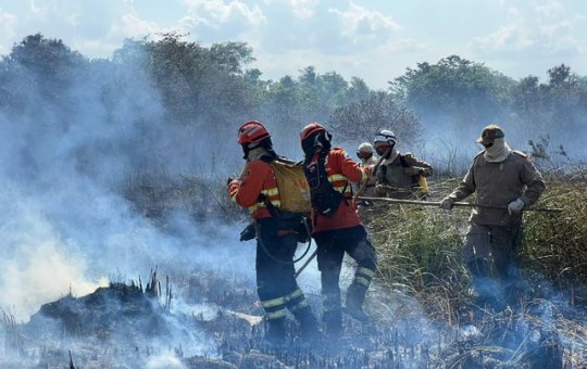 Presidente Donald Trump suspende parceria entre EUA e Brasil contra incêndios florestais