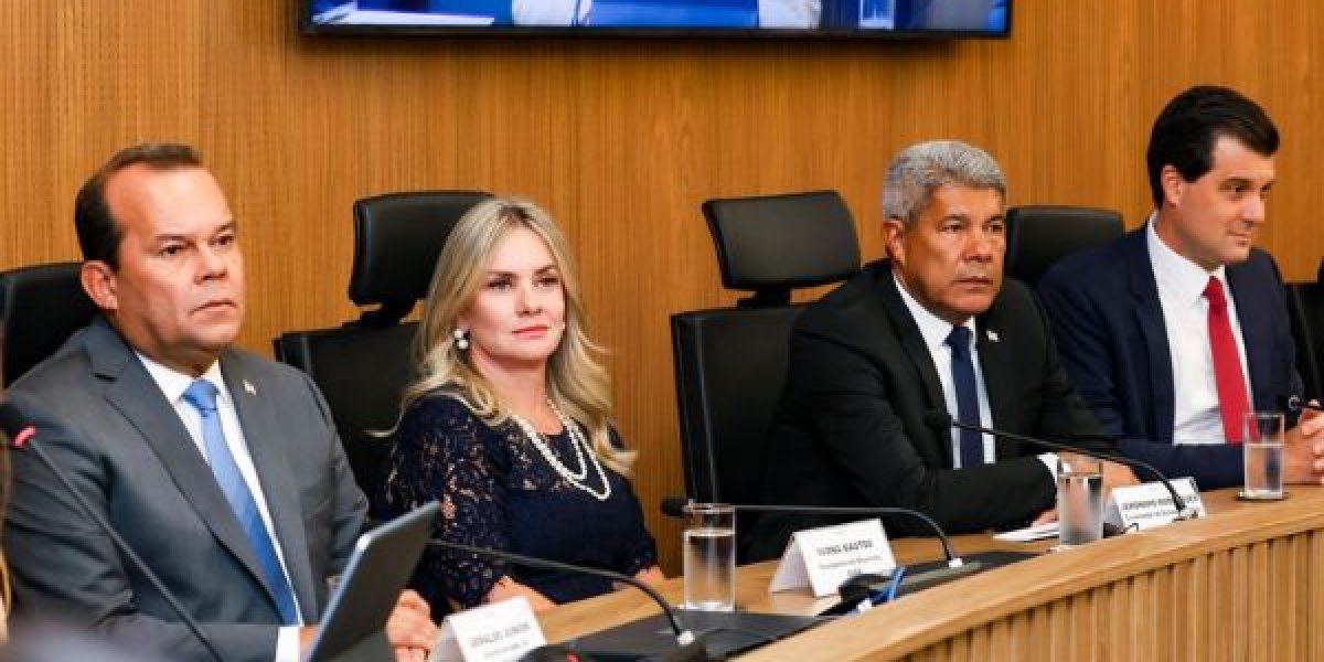 Ivana Bastos fala pela primeira vez como presidente da Assembleia Legislativa da Bahia