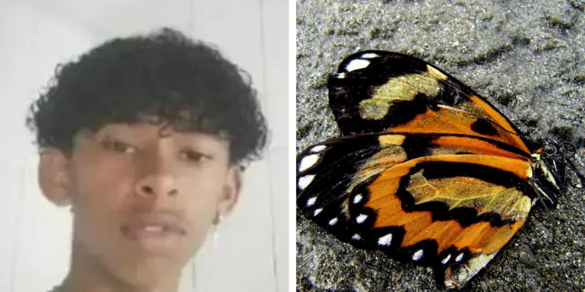 Adolescente morre na Bahia após amassar borboleta e injetar na perna líquido que saiu do animal