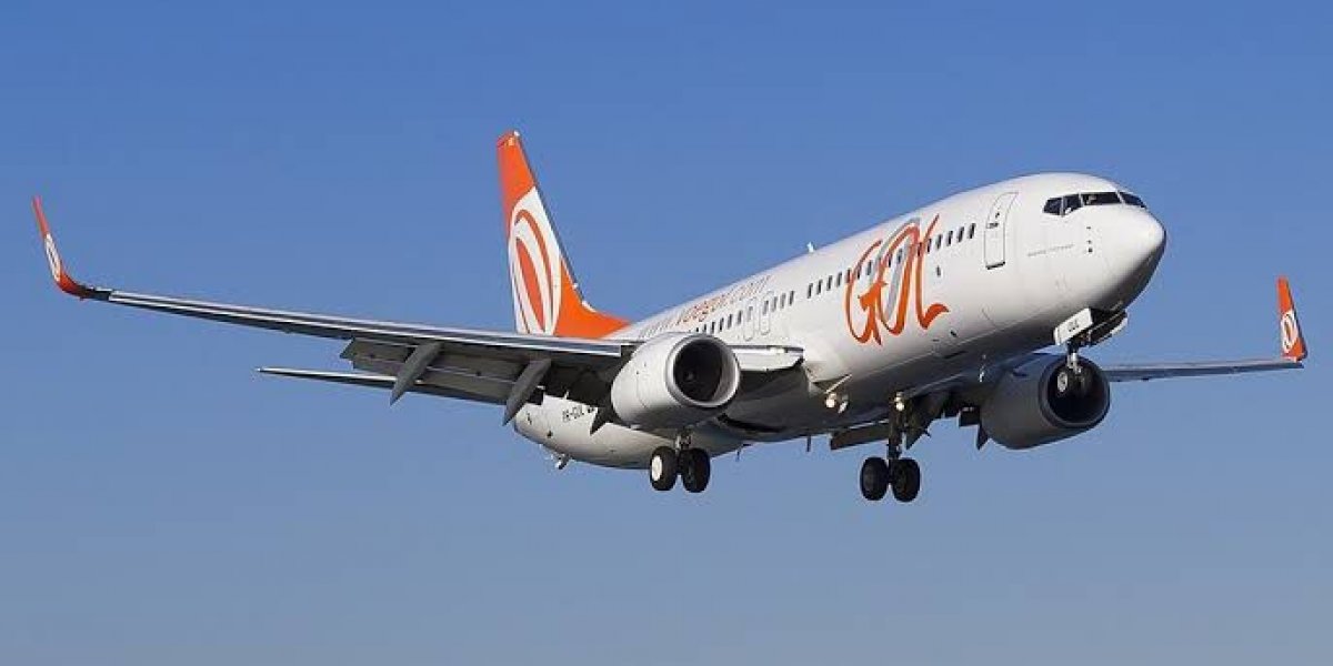 Avião da Gol colide com pássaro e tem que voltar com urgência para Brasília