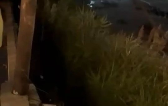 Estrutura de camarote cede e mais de 10 pessoas ficam feridas em Salvador