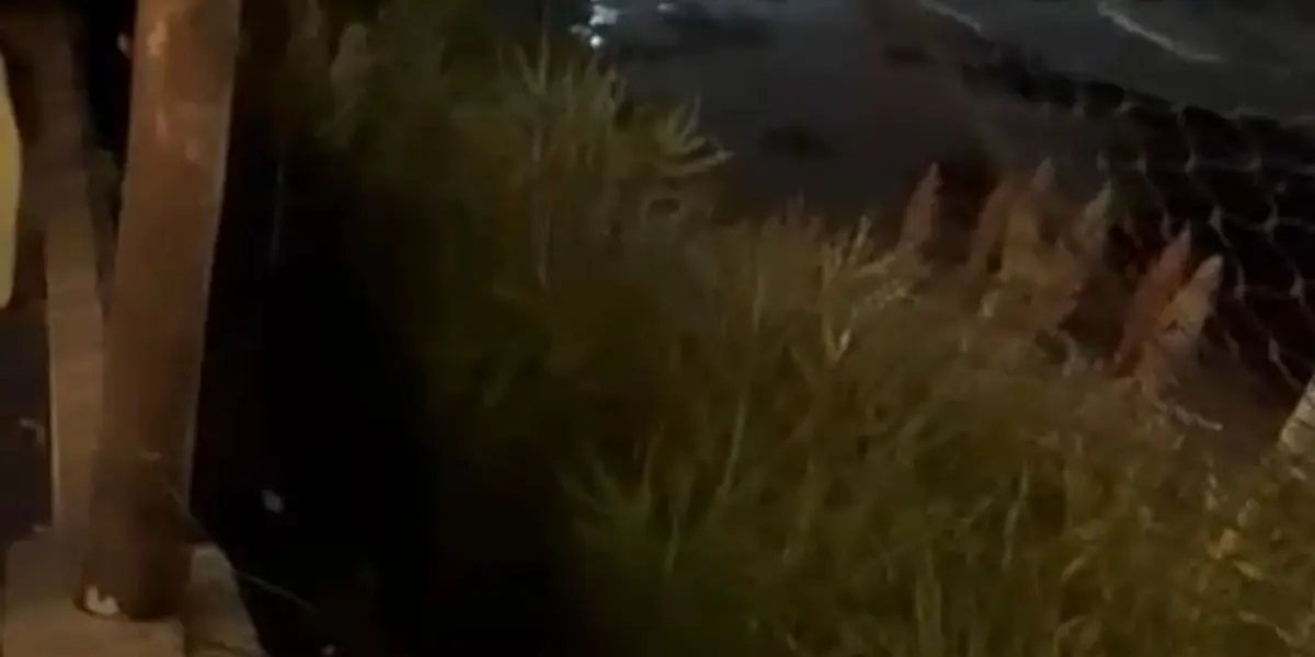 Estrutura de camarote cede e mais de 10 pessoas ficam feridas em Salvador