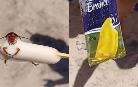 Fábrica de picolés é interditada após barata ser encontrada em sorvete no Rio