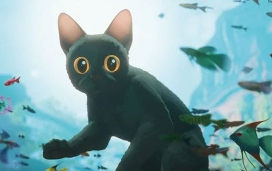 Flow faz por merecer Oscar de Melhor animação e encanta com simplicidade