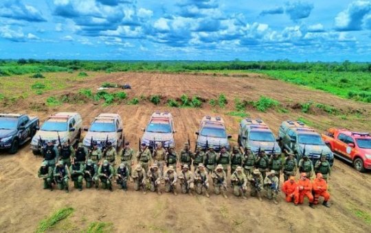 Forças de segurança erradicam 120 mil pés de maconha na divisa entre Bahia e Piauí