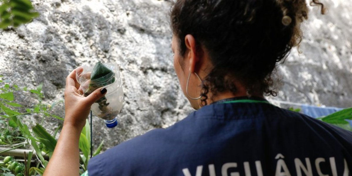 Bahia registra redução de 86,1% no número de casos de dengue em 2025