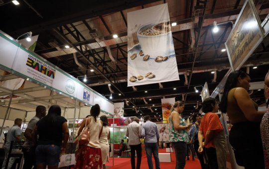 Salvador receberá maior festival de chocolate da América Latina