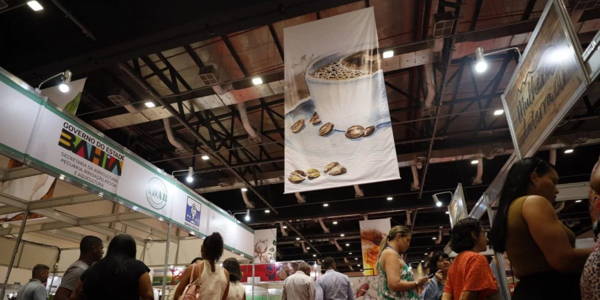 Salvador receberá maior festival de chocolate da América Latina