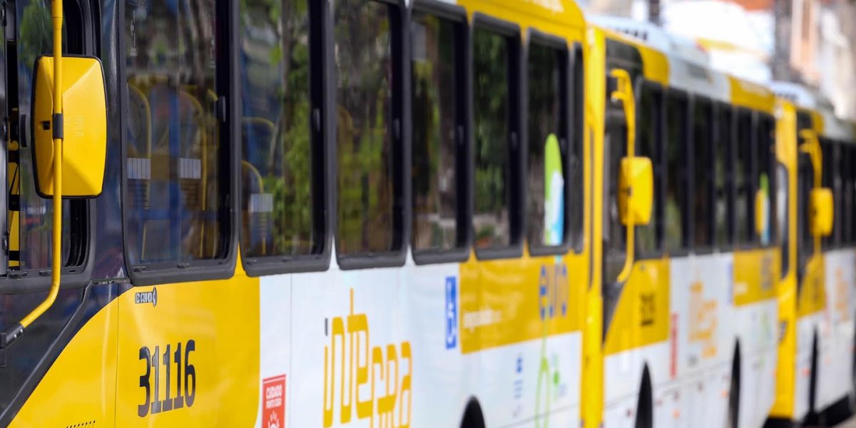 Prefeitura de Salvador entregará 20 'buzus' com ar-condicionado a partir desta sexta-feira (21)