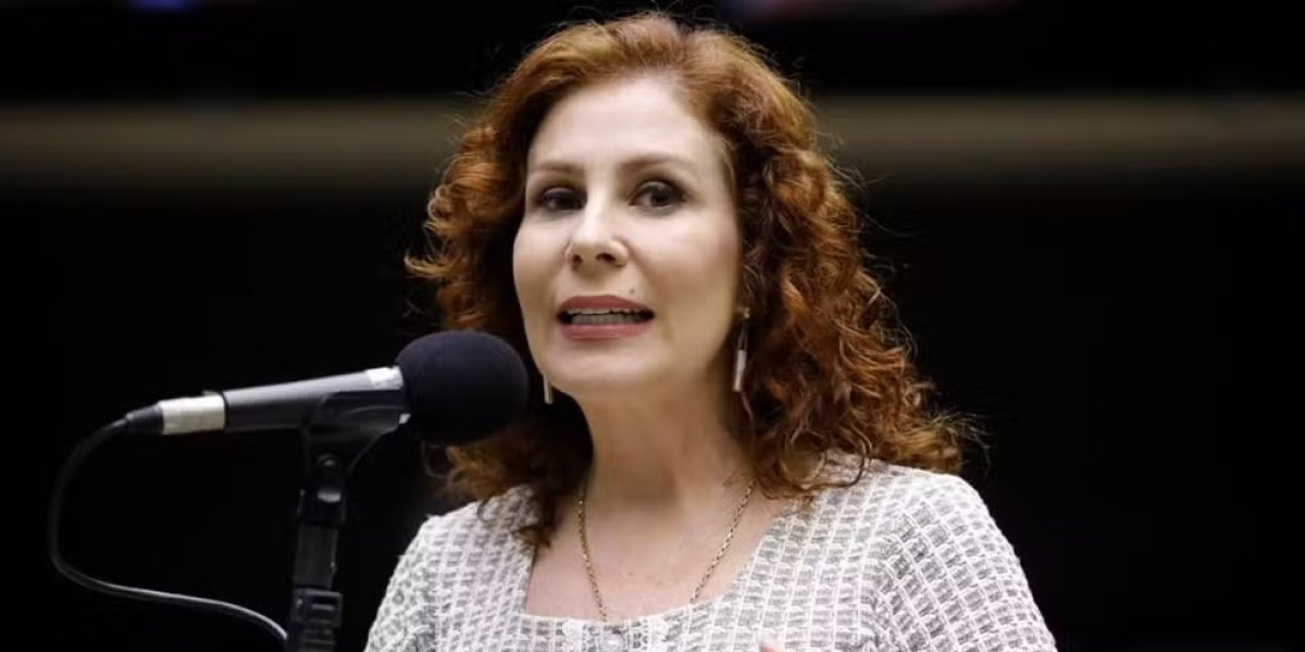 STF registra 2 votos a 0 pela condenação de Carla Zambelli por porte ilegal de arma e perda de mandato