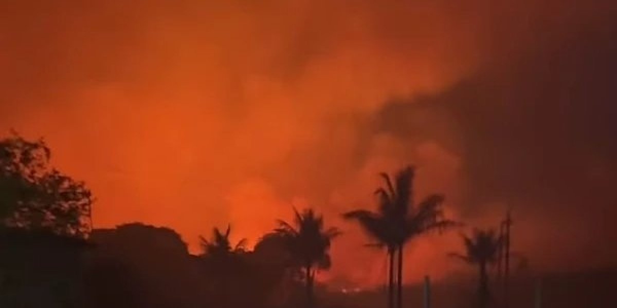 Grande incêndio em Chapada Diamantina assusta moradores: 'vendo de perto é desesperador'