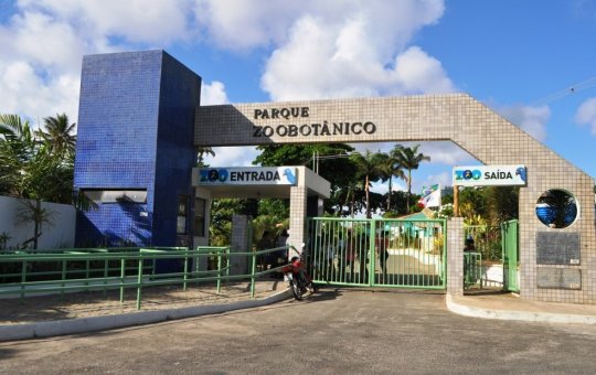 Zoológico de Salvador passa por reformas e reabrirá em maio com novas atrações
