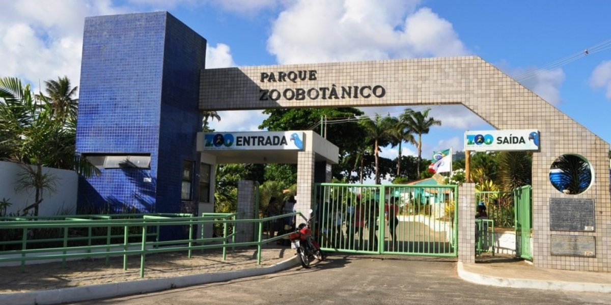 Zoológico de Salvador passa por reformas e reabrirá em maio com novas atrações