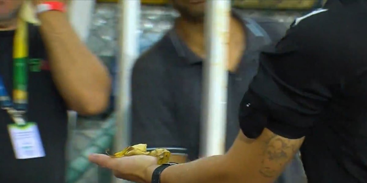 STJD pune Internacional após ato de racismo no Brasileirão Feminino