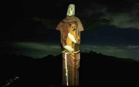 Cristo Redentor recebe projeção em homenagem ao Dia Mundial dos Animais em Situação de Rua