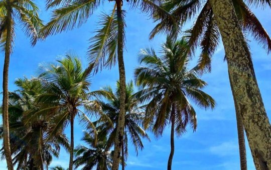 Corpo é encontrado boiando em praia de Salvador